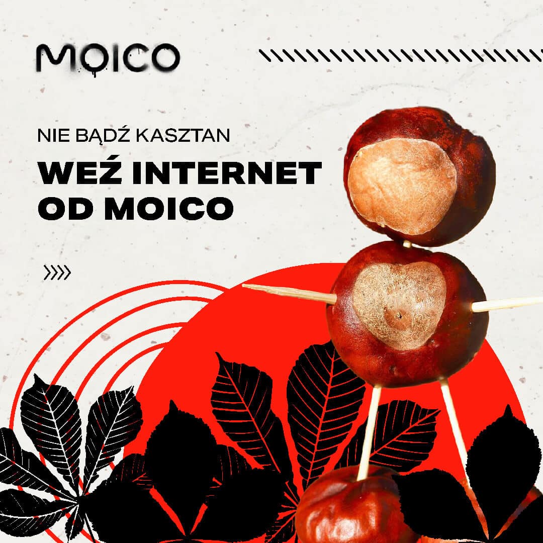 Na grafice widoczne jest hasło reklamowe firmy MOICO, która oferuje usługi internetowe. Napis brzmi: „Nie bądź kasztan, weź internet od MOICO”. Po lewej stronie znajduje się logo MOICO, a po prawej stronie – postać ulepiona z kasztanów, połączonych wykałaczkami, przypominająca ludzika. Tło jest białe z elementami graficznymi w kolorze czerwonym i czarnym, m.in. liście kasztanowca.